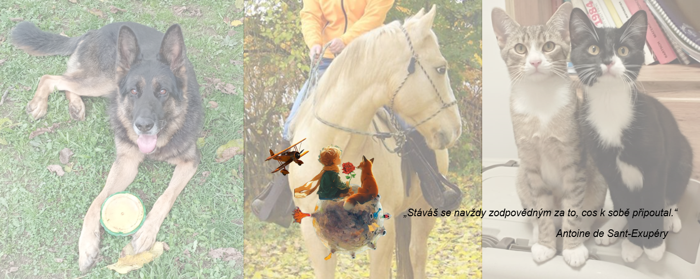 Malý princ